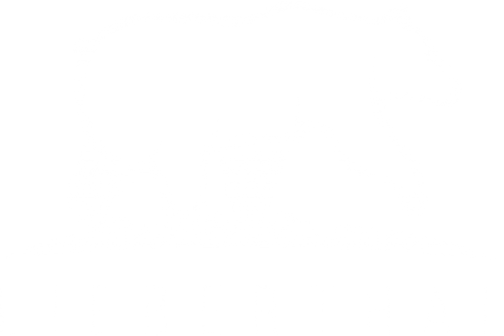 Startseite Lieberthal Logistikservice e.K. - Logistische Herausforderungen - Logo